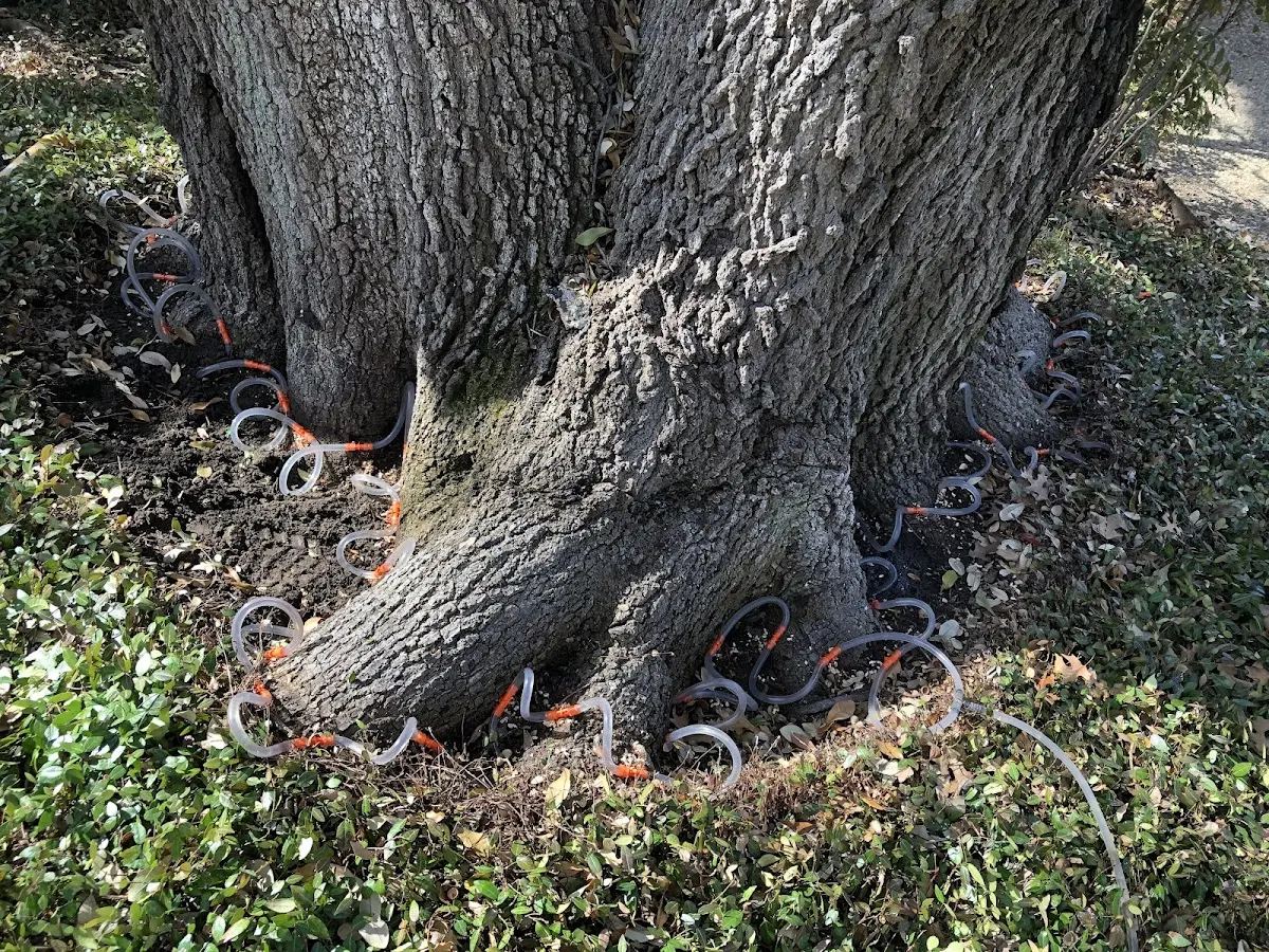 Detailed Shrub and Hedge Trimming job site in Choctaw